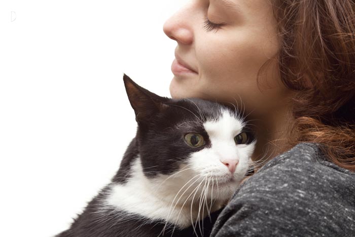 rosario Exactitud Preludio Por qué mi gato me toca la cara? | Pets Bioforestal